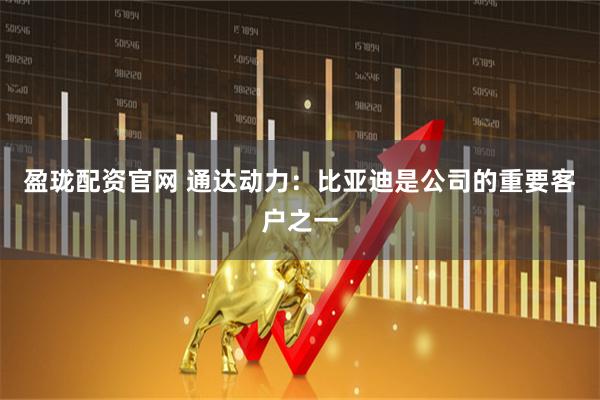 盈珑配资官网 通达动力：比亚迪是公司的重要客户之一