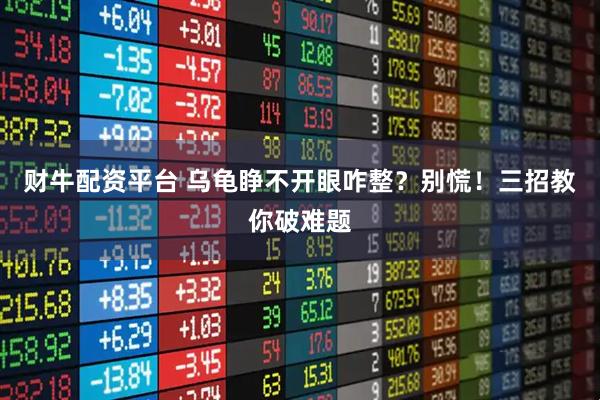 财牛配资平台 乌龟睁不开眼咋整?别慌!三招教你破难题